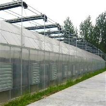玻璃连栋温室大棚厂家金沣温室新型农业大棚厂家